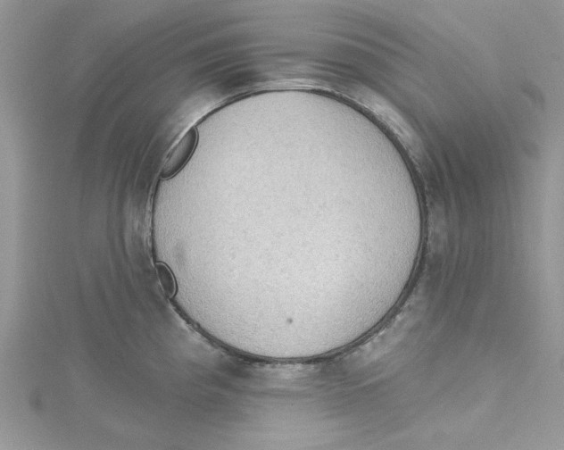 X0000114631193200911171003