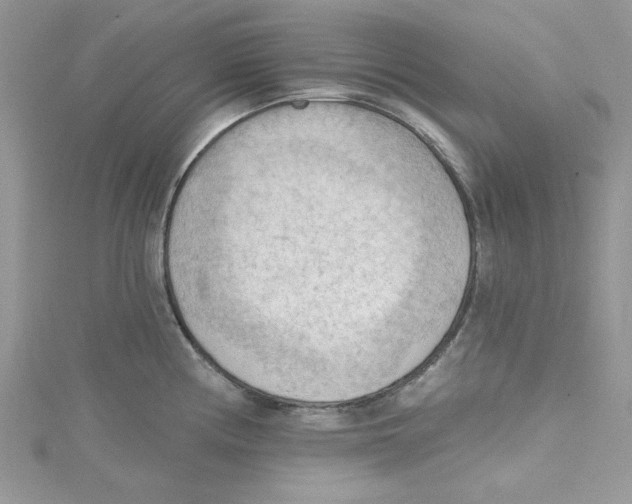 X0000114631194200911171003