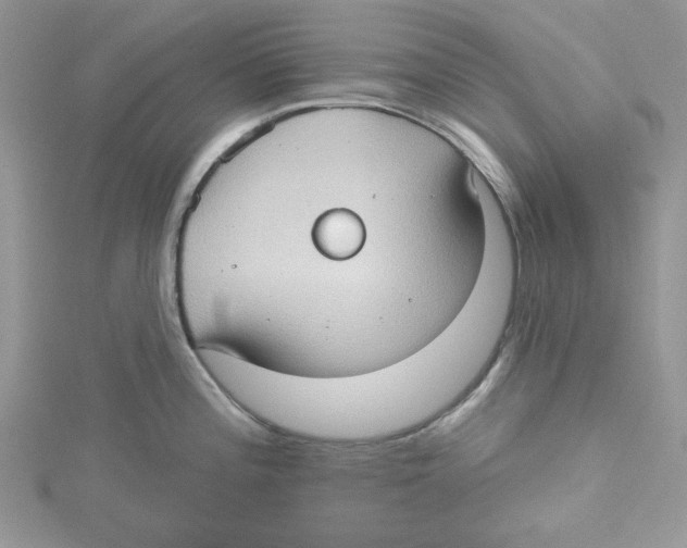 X0000114631196200911171003