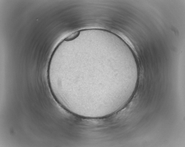 X0000114631197200911171003