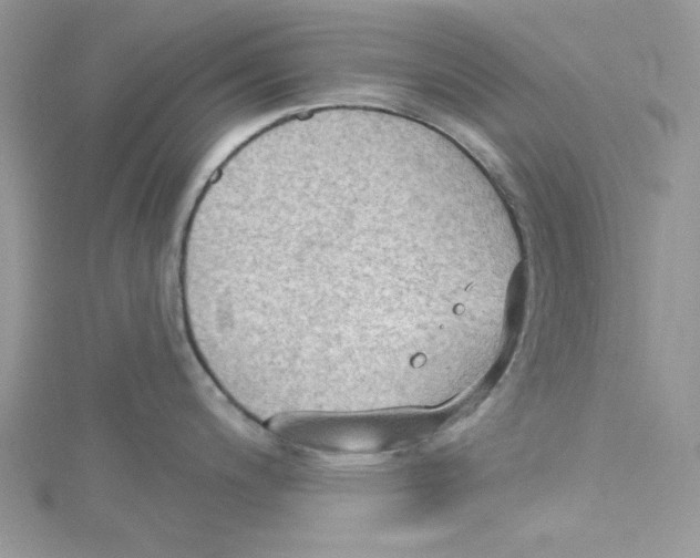 X0000114631200200911171003