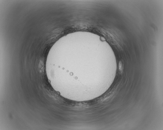 X0000114631203200911171002