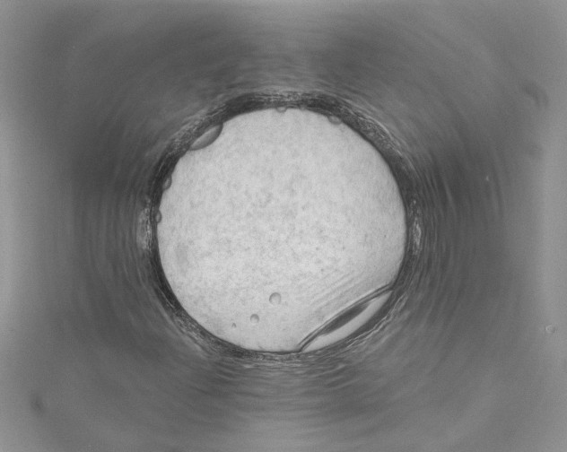 X0000114631204200911171002