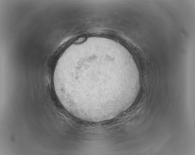 X0000114631206200911171002