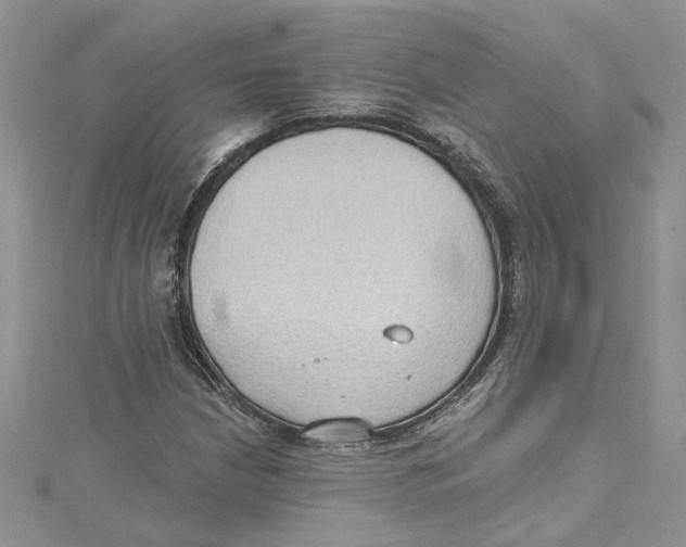 X0000114631210200911171002