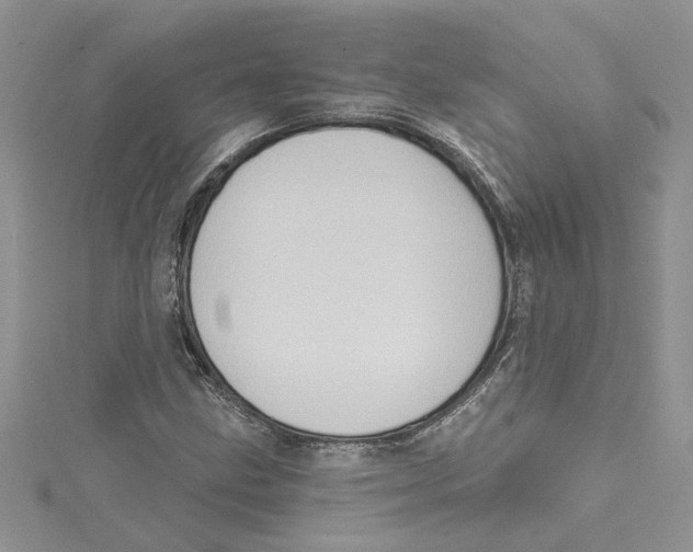 X0000114631211200911171002