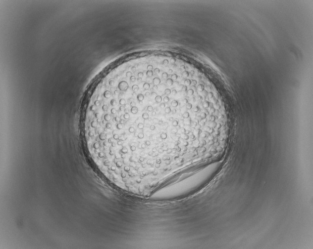 X0000114631216200911171002