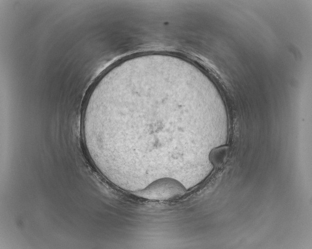 X0000114631220200911171002