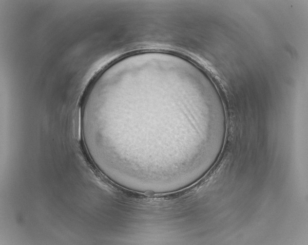 X0000114631223200911171002