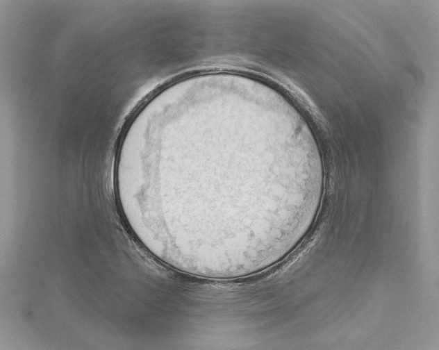 X0000114631224200911171002