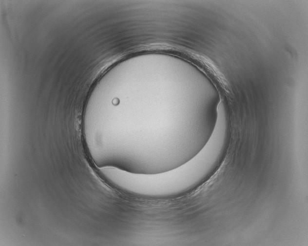 X0000114631225200911171002