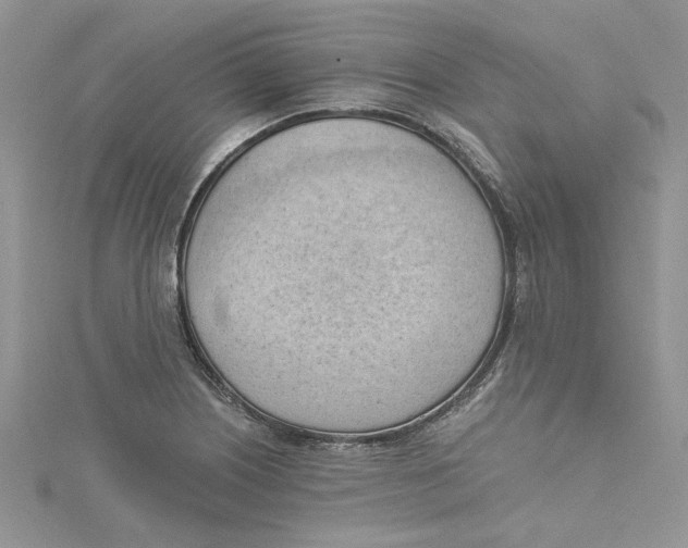 X0000114631226200911171002