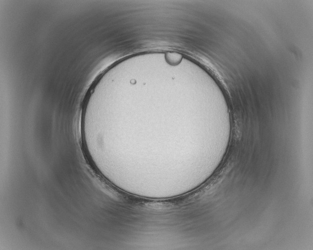 X0000114631227200911171002