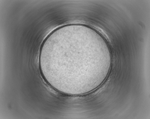 X0000114631228200911171002