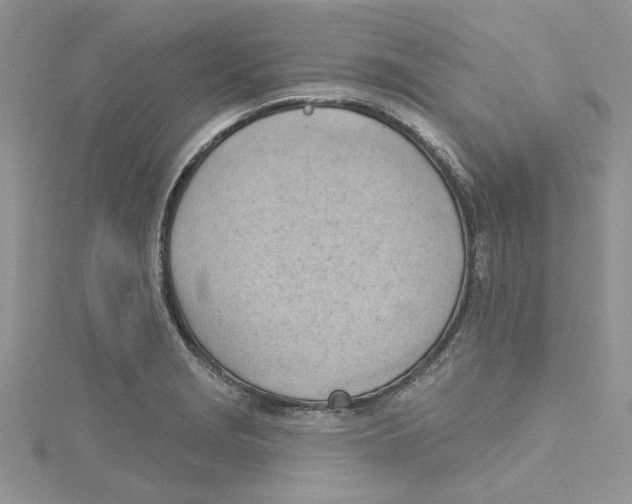 X0000114631229200911171003