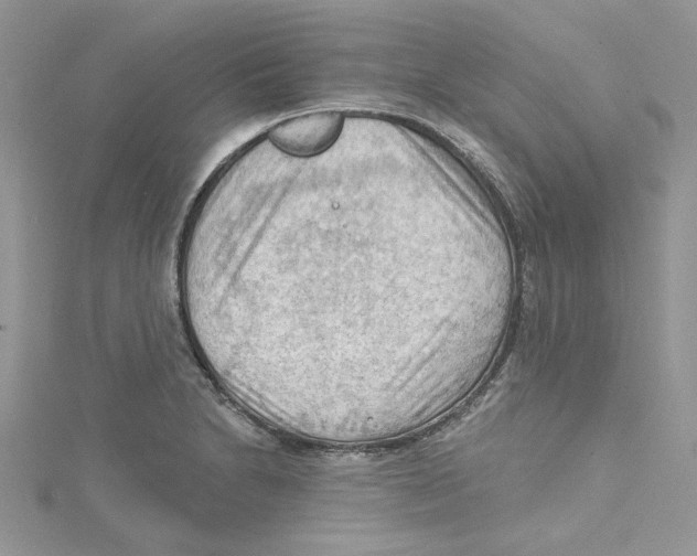 X0000114631230200911171003