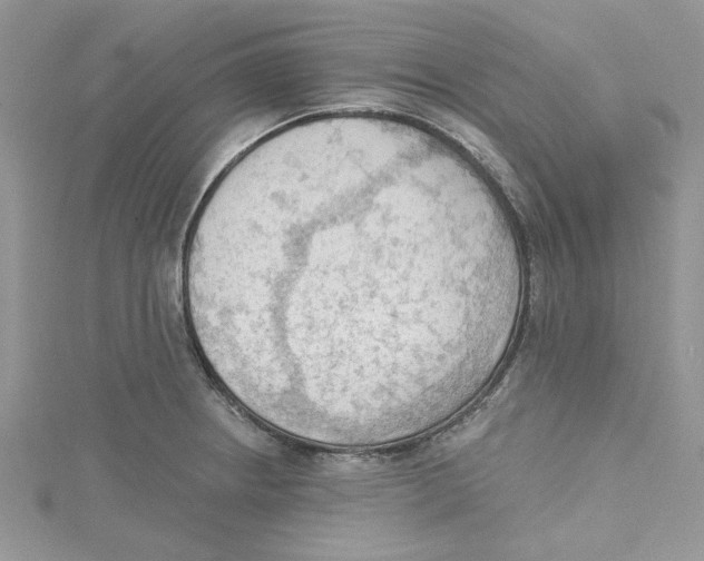 X0000114631234200911171003