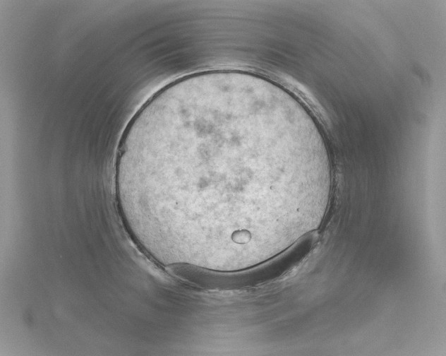 X0000114631236200911171003