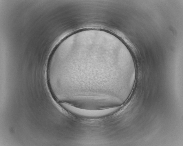 X0000114631237200911171003