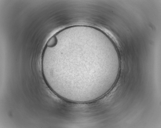 X0000114631238200911171003