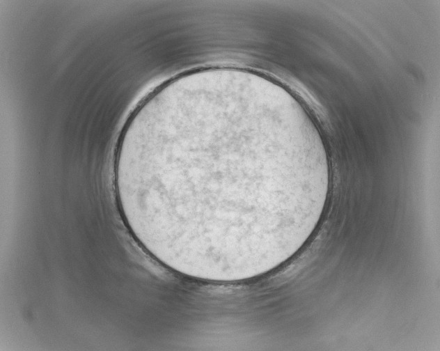 X0000114631240200911171003