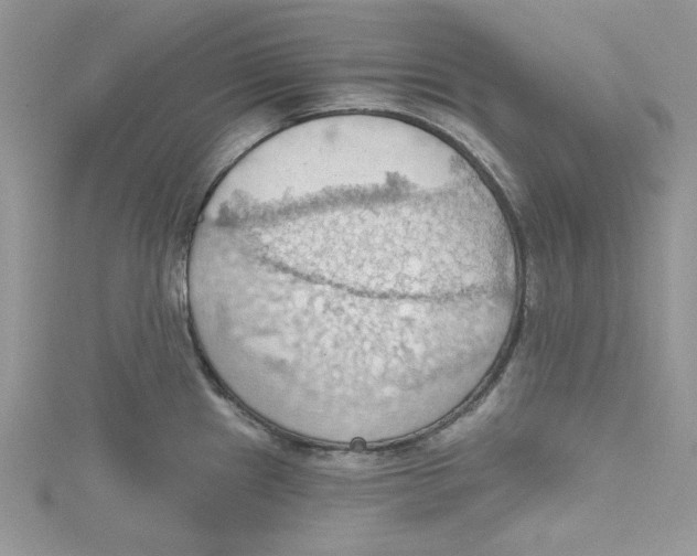 X0000114631241200911171003