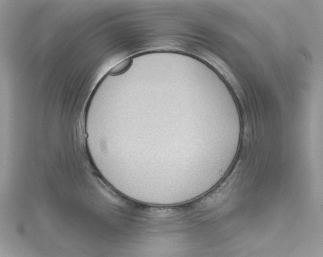 X0000114631242200911171003