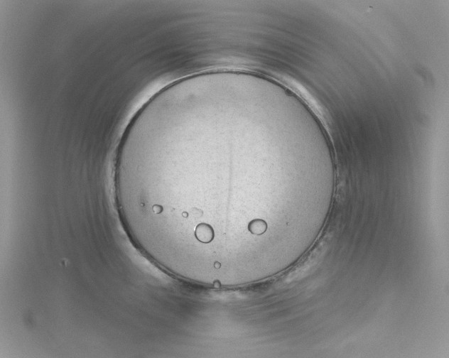 X0000114631243200911171003