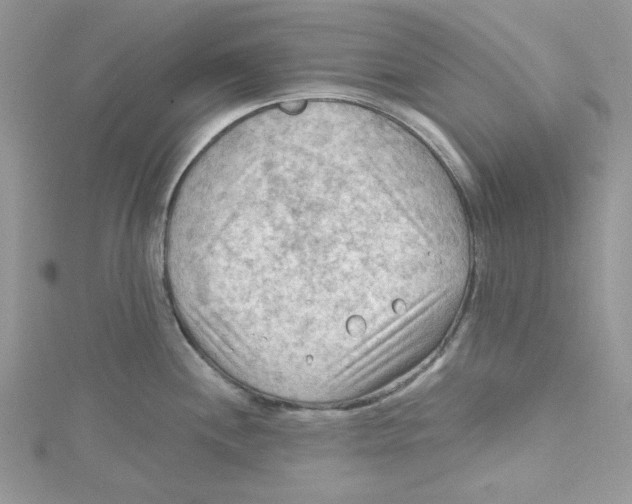 X0000114631244200911171003