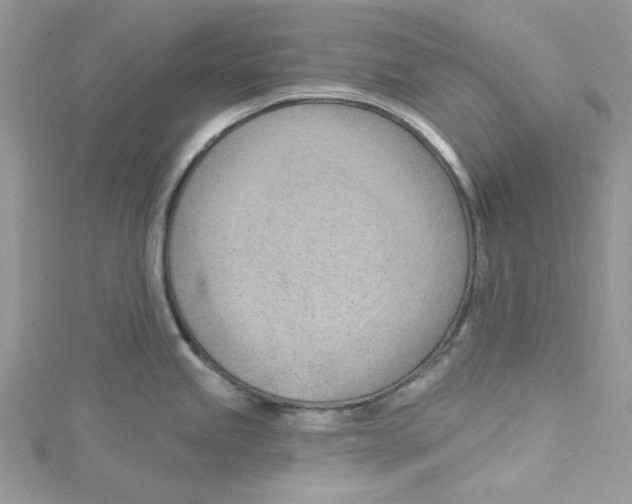 X0000114631245200911171003