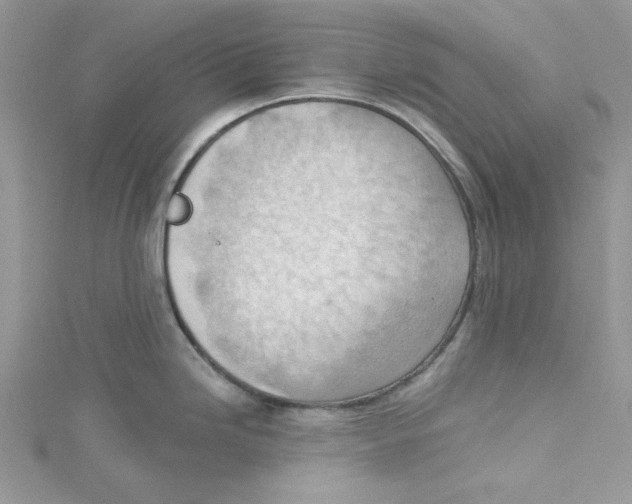 X0000114631246200911171003