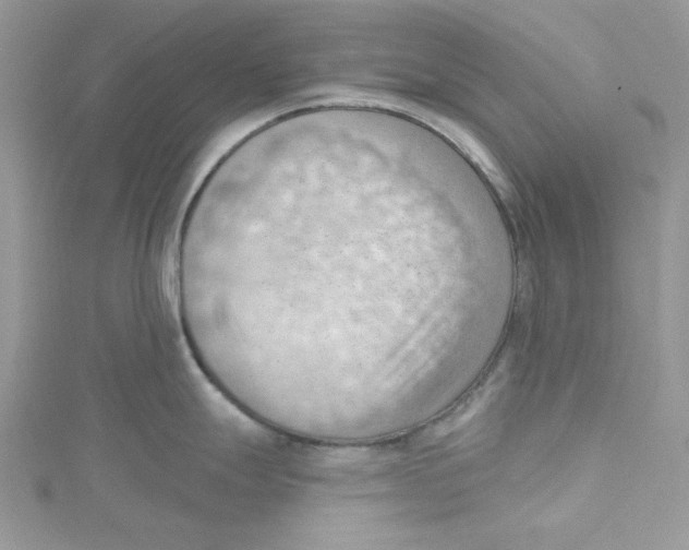 X0000114631247200911171003