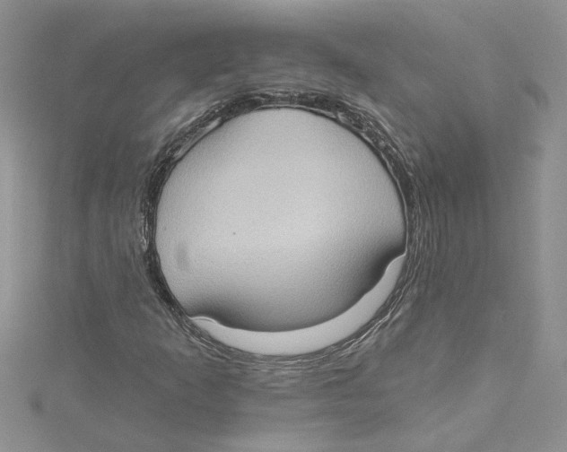 X0000114631253200911171002