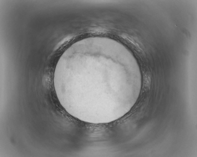 X0000114631254200911171002