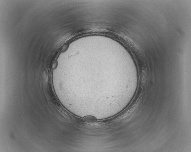 X0000114631257200911171002