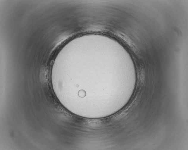 X0000114631258200911171002