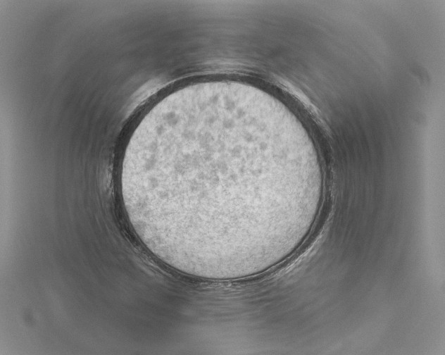 X0000114631259200911171002