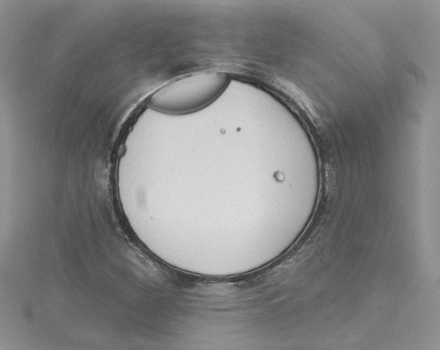 X0000114631260200911171002