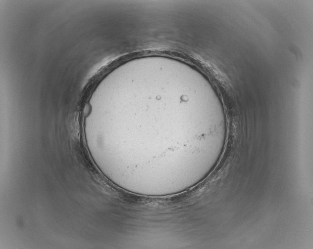 X0000114631262200911171002