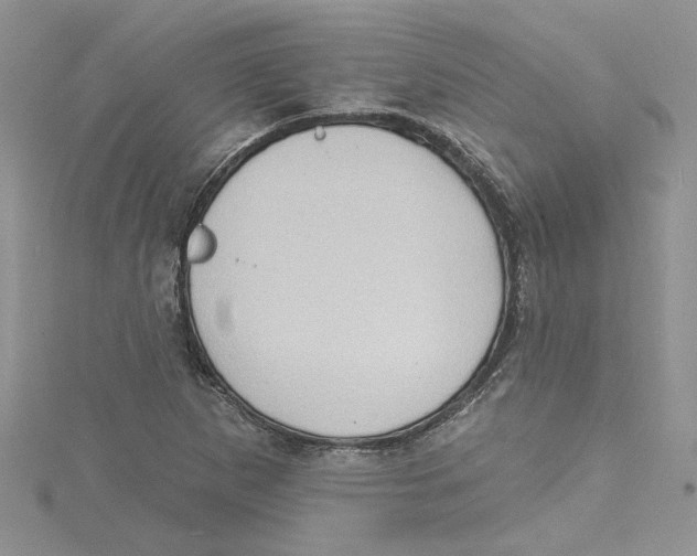 X0000114631265200911171002