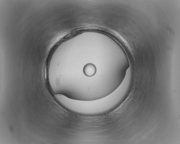 X0000114631269200911171002