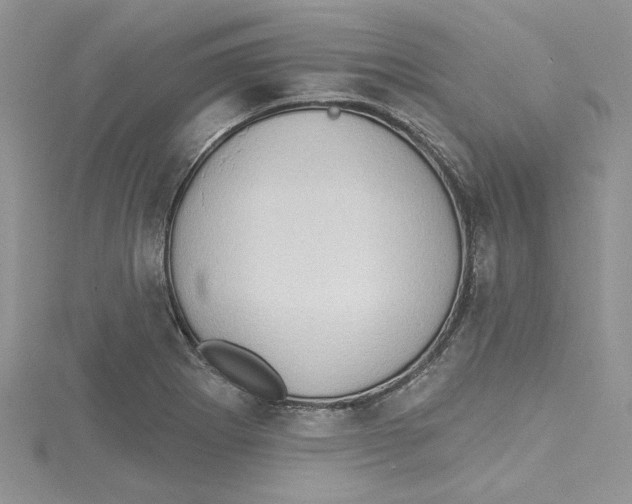 X0000114631273200911171002