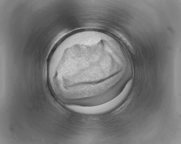 X0000114631275200911171002