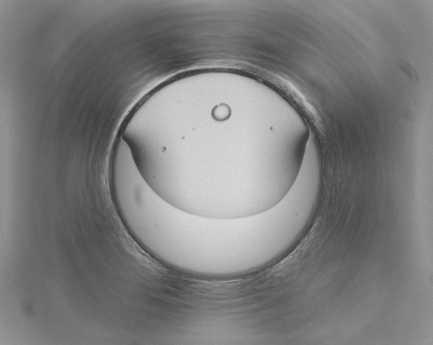 X0000114631276200911171002