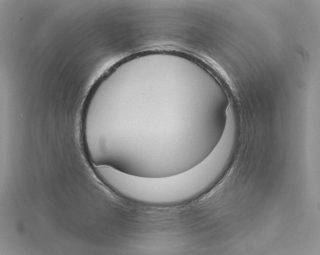 X0000114631277200911171002