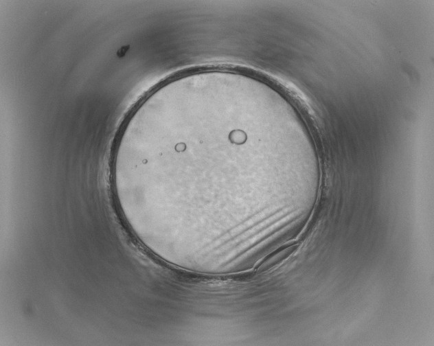 X0000114631279200911171002