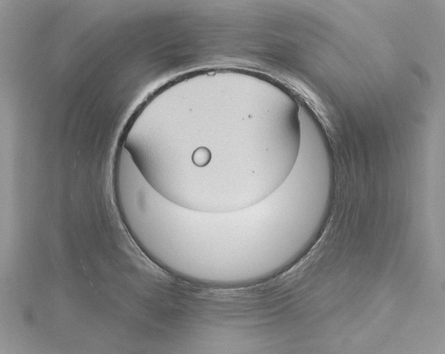 X0000114631280200911171002