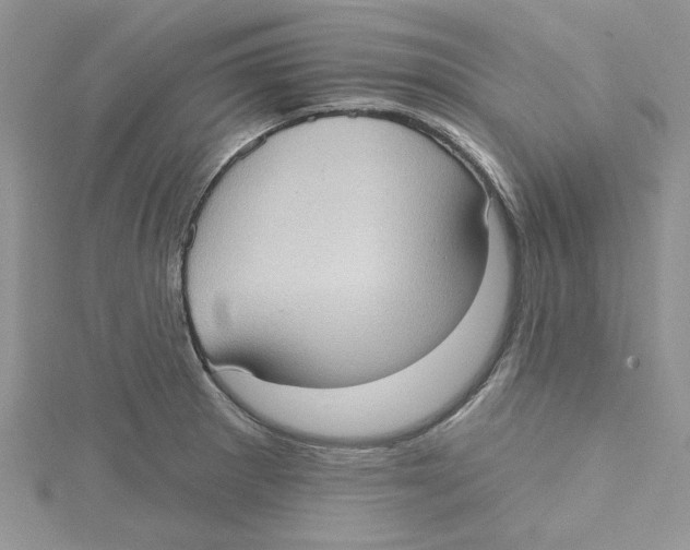 X0000114631281200911171002