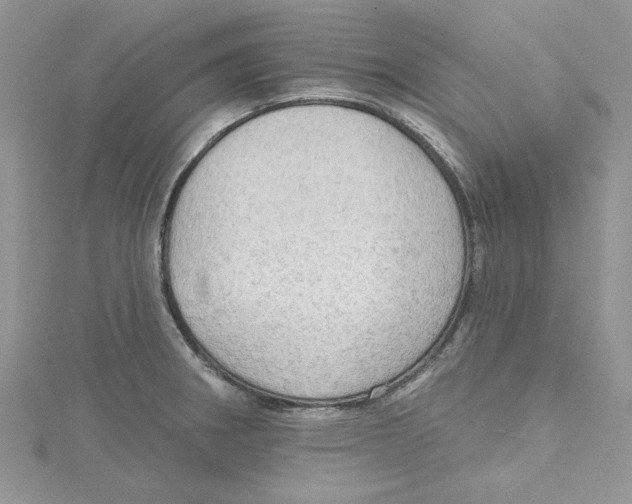 X0000114631282200911171002