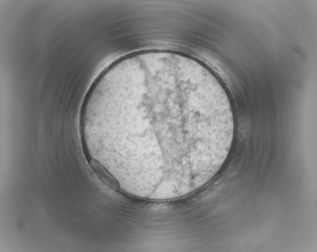 X0000114631283200911171002